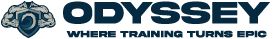 light logo